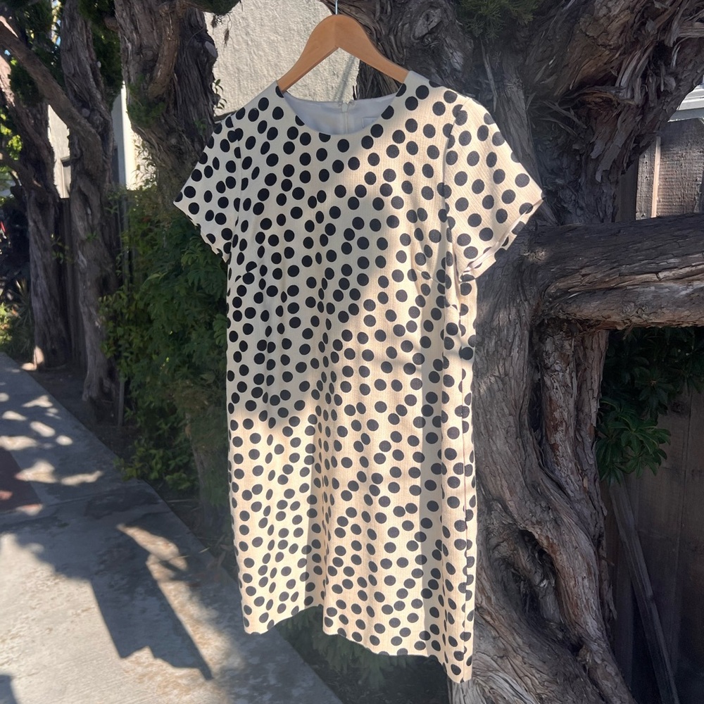 J. Crew Black Polka Dot Dress